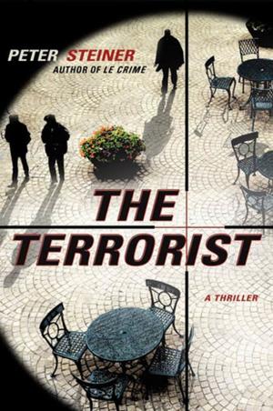 Cover of the book The Terrorist by Celia Aaron