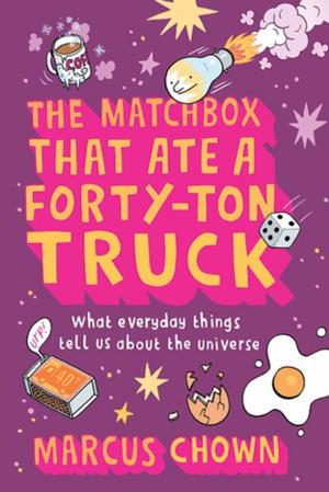 Cover of the book The Matchbox That Ate a Forty-Ton Truck by George Lakoff