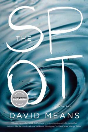 Cover of the book The Spot by Patrice Nganang