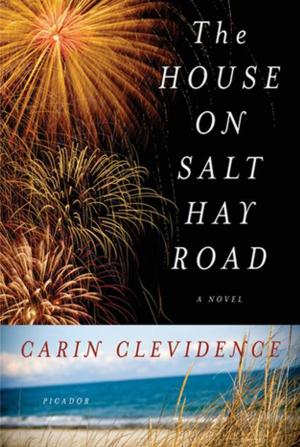 bigCover of the book The House on Salt Hay Road by 