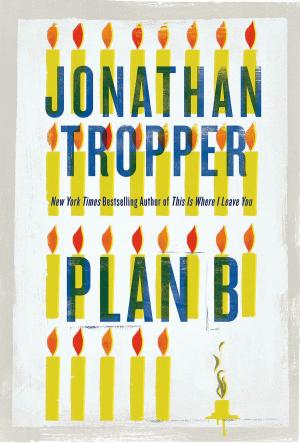 Cover of the book Plan B by Joan Druett