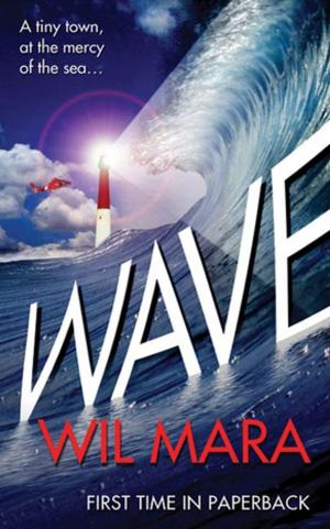Cover of the book Wave by Steven Erikson