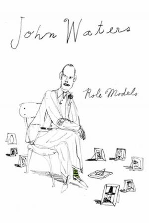 Cover of the book Role Models by Davy Rothbart