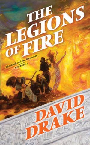 Cover of the book The Legions of Fire by David Gaider