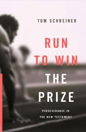 Cover of the book Run to Win the Prize by Dane C. Ortlund