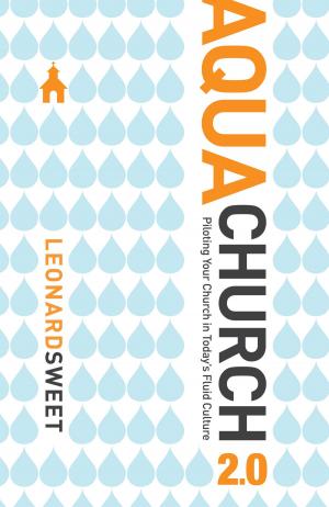 Cover of the book AquaChurch 2.0 by Mark Steele