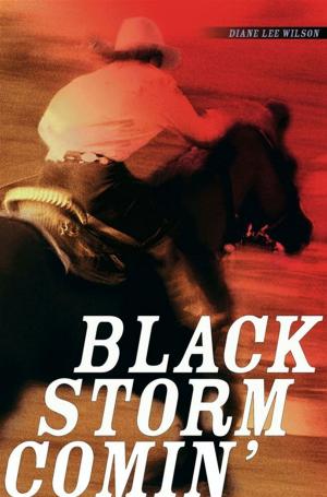 Cover of the book Black Storm Comin' by Ellen Hopkins