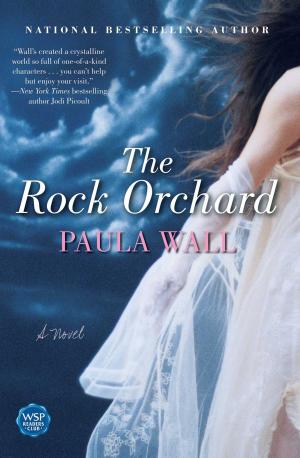 Cover of the book The Rock Orchard by Rebecca Frayn
