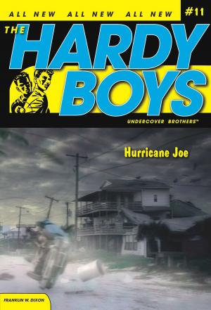 bigCover of the book Hurricane Joe by 