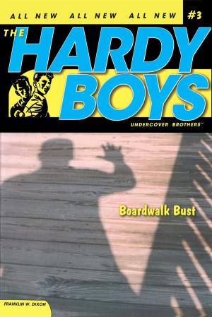 Cover of the book Boardwalk Bust by Carolyn Keene