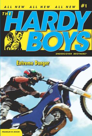 Cover of the book Extreme Danger by James Riley