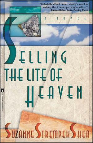 Cover of the book Selling the Lite of Heaven by Douglas Coupland