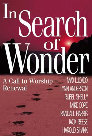 Cover of the book In Search of Wonder by Brady Boyd