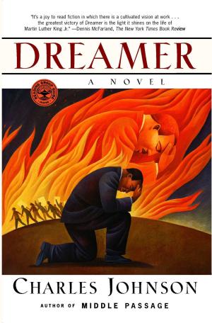 bigCover of the book Dreamer by 