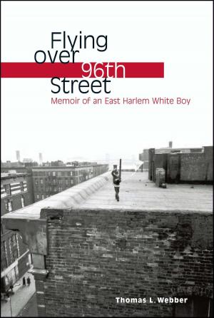 bigCover of the book Flying over 96th Street by 