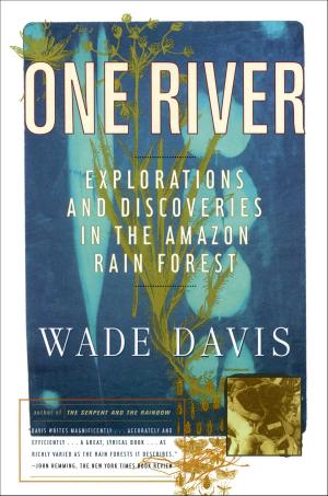 Book cover of One River