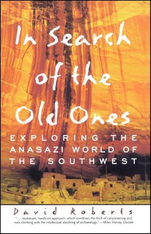 Cover of the book In Search of the Old Ones by Michael Feinstein