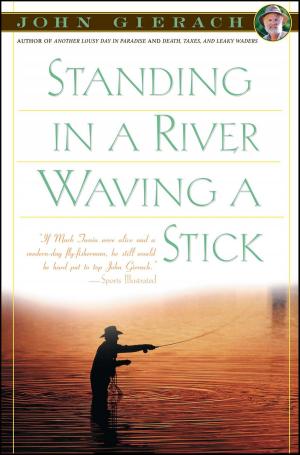 Cover of the book Standing in a River Waving a Stick by Camilla Grebe, Asa Traff