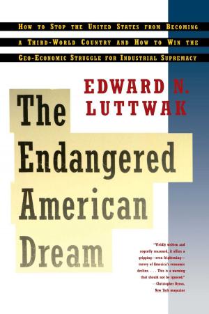Cover of the book Endangered American Dream by Gerald Eskenazi
