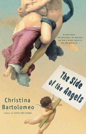 Cover of the book The Side of the Angels by Colm Toibin
