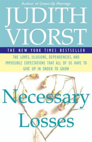 Book cover of Necessary Losses