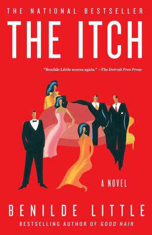Cover of the book The Itch by Kierra Baxter