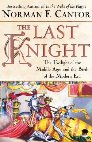 Cover of the book The Last Knight by Michele K. Spike