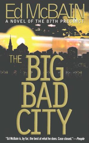 Book cover of The Big Bad City