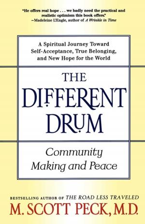 Cover of the book The Different Drum by Terry T. Gorski, m.a., c.a.c.