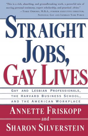 Book cover of Straight Jobs Gay Lives