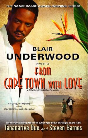 Cover of the book From Cape Town with Love by Clint Emerson