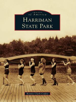 Cover of the book Harriman State Park by Michael Leavy