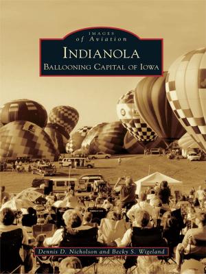 Cover of the book Indianola by J. Michael Morrison