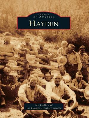 bigCover of the book Hayden by 
