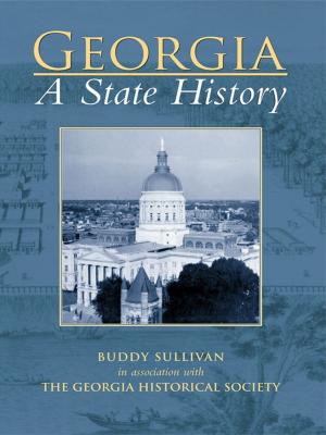 Cover of the book Georgia by Ted Clarke