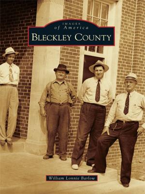 Cover of the book Bleckley County by Carolyn Hope Smeltzer, Martha Kiefer Cucco
