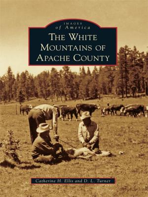 Cover of the book The White Mountains of Apache County by Donald Angelo Carapella Jr.