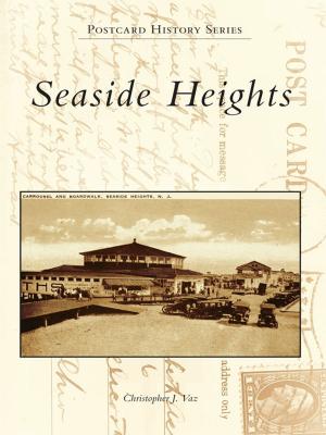 Cover of the book Seaside Heights by Leslie Hudson