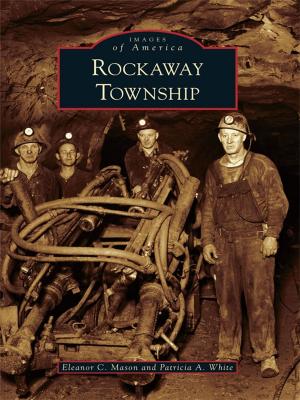 Cover of the book Rockaway Township by Virginia Palmer-Skok