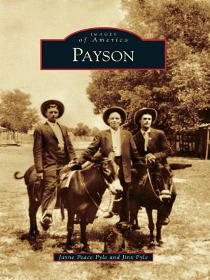 Cover of the book Payson by Dee Morris