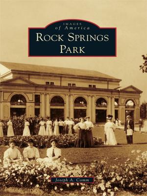 Cover of the book Rock Springs Park by Marvin Carlberg, Howard Carlberg, Patricia L. Stevens