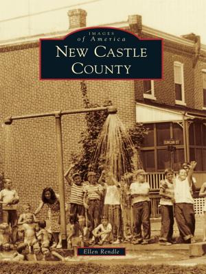 Cover of the book New Castle County by Paul Betancourt