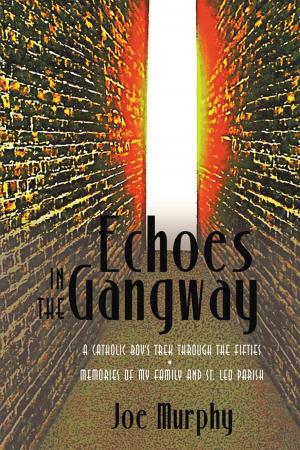 Cover of the book Echoes in the Gangway by Kristen Lee EdD LICSW