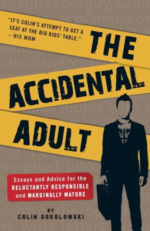 Cover of the book The Accidental Adult by Brooke C Stoddard, Daniel P Murphy