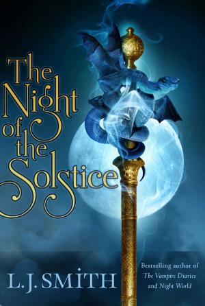 Cover of the book The Night of the Solstice by Franklin W. Dixon