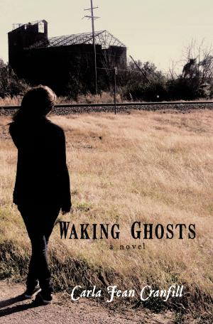 Cover of the book Waking Ghosts by Angelina Martinez