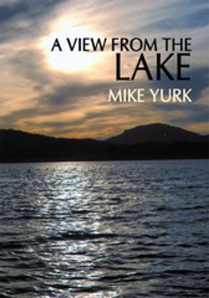 Cover of the book A View from the Lake by John Patten