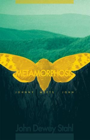 Cover of the book Metamorphosis by Brian E. Priest