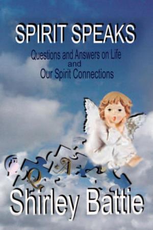 Cover of the book Spirit Speaks by Stevenson Mukoro