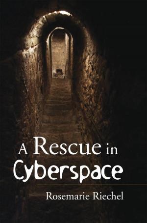 Cover of the book A Rescue in Cyberspace by John E. Baiden
